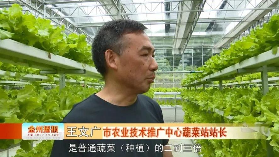 市农业技术推广中心蔬菜站站长 王文广