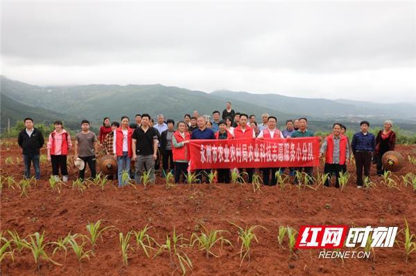 永州市农业农村局组织开展永州市科技活动周农业技术推广活动
